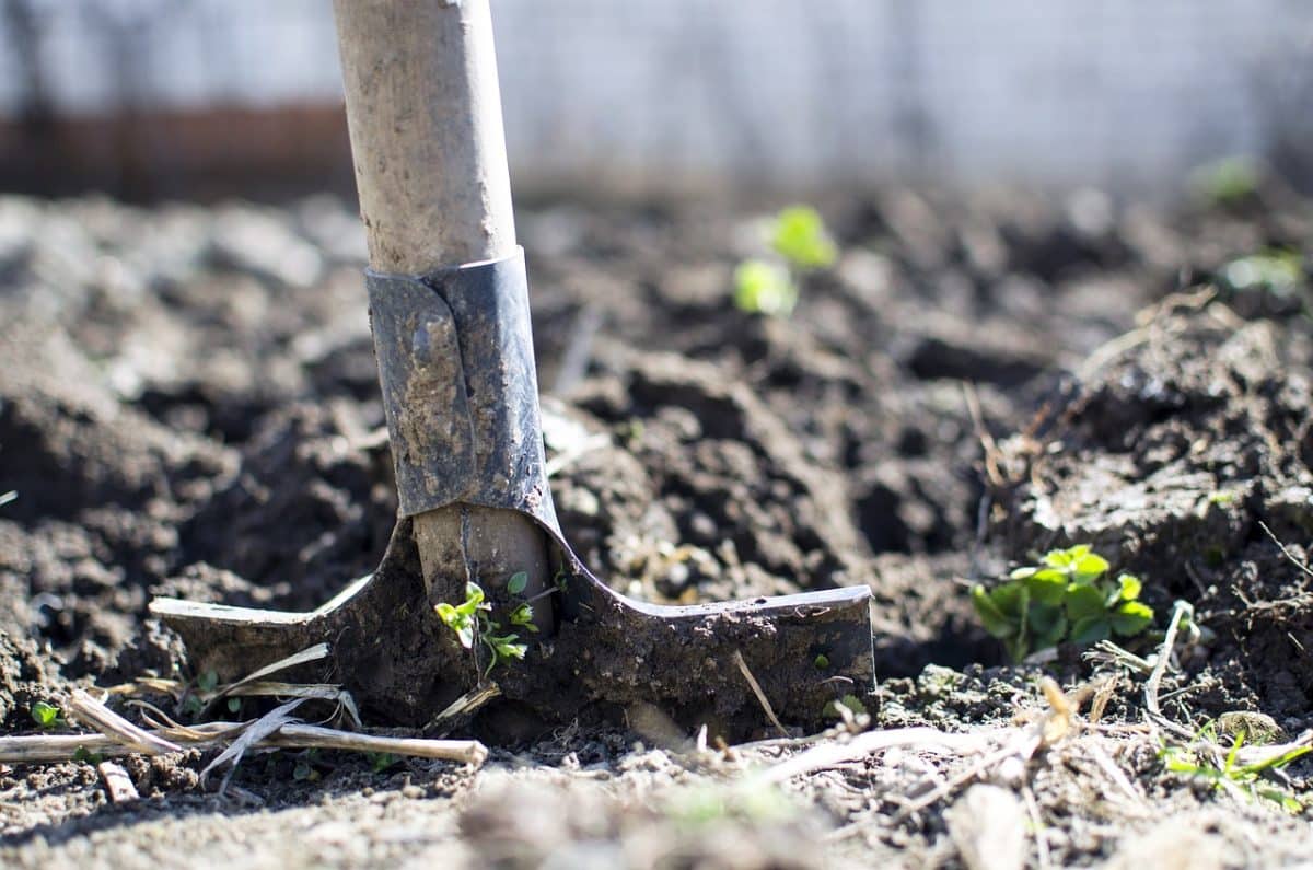 equipment, outdoors, dirt