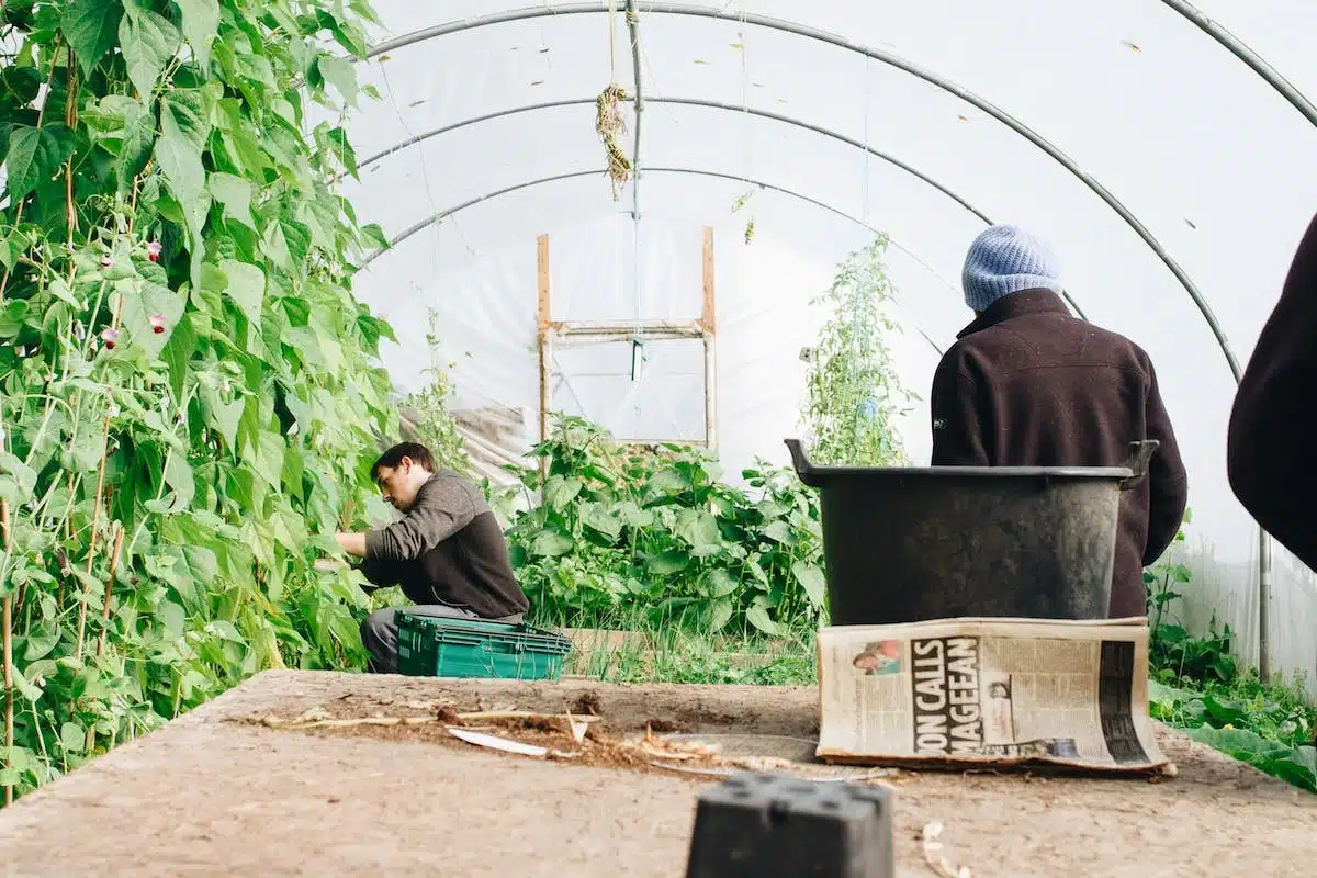 potager  protection