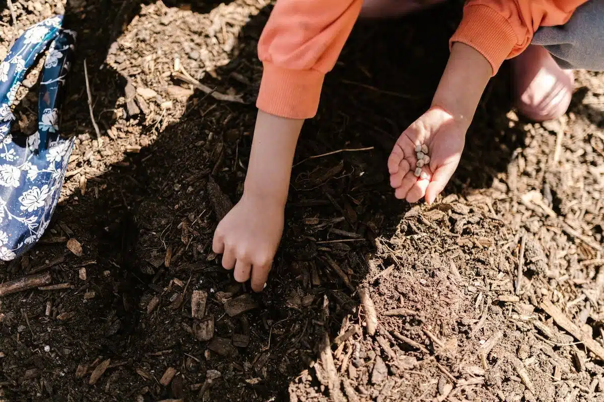 compost jardin