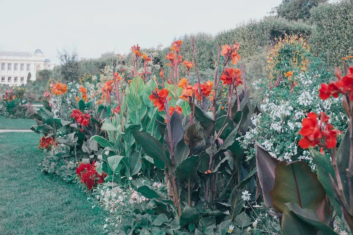jardin écologique