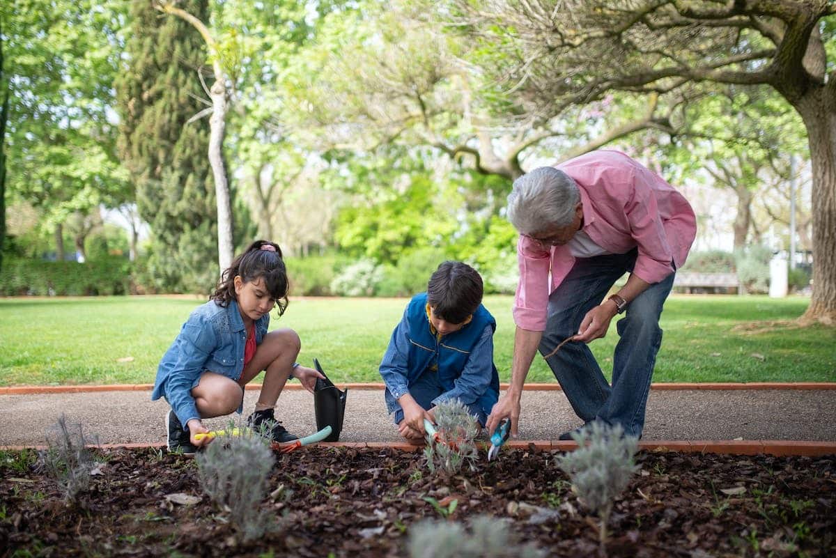 jardin enfants