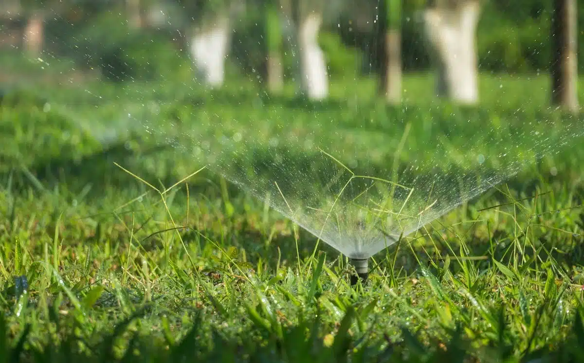 irrigation  jardin