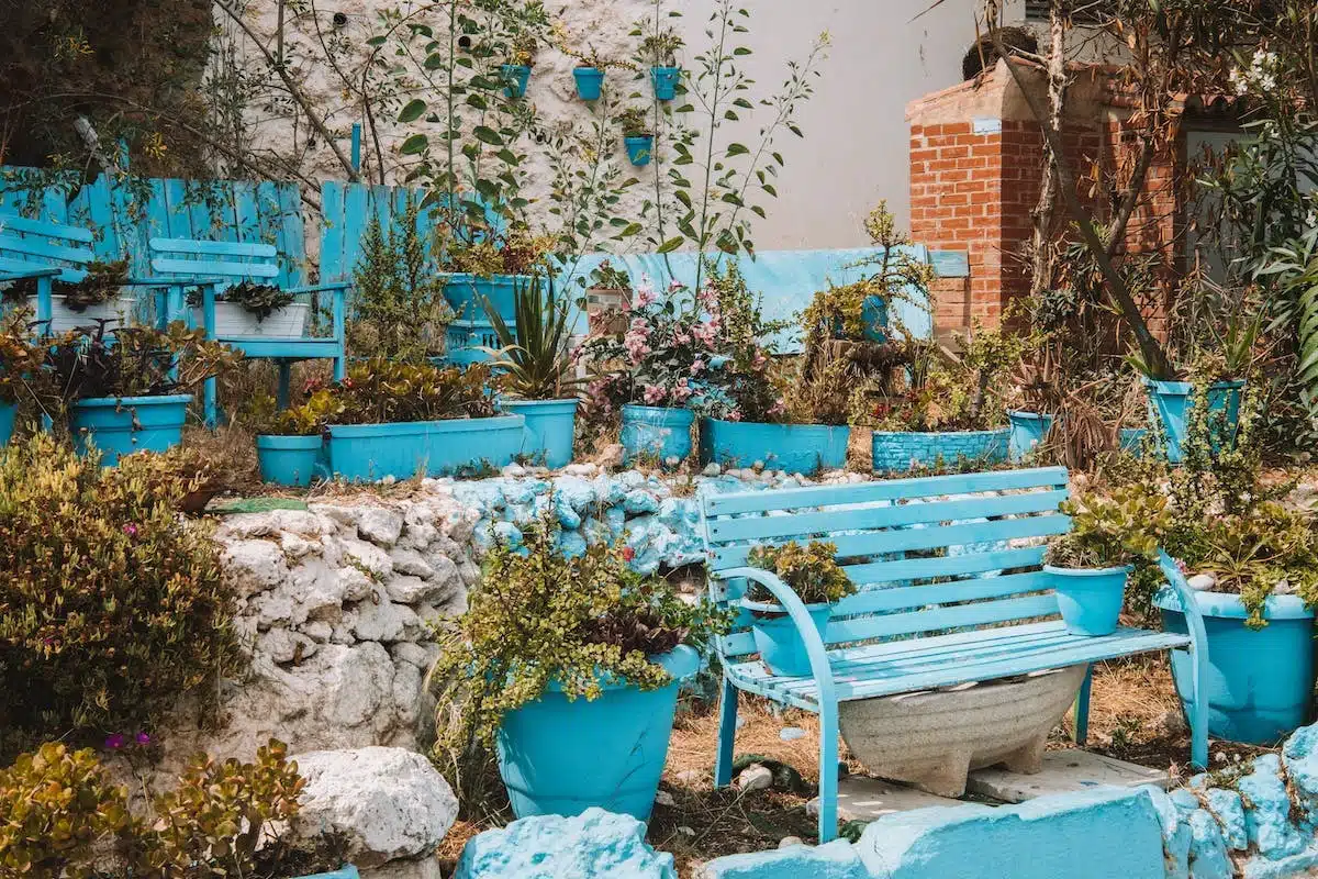 petit jardin