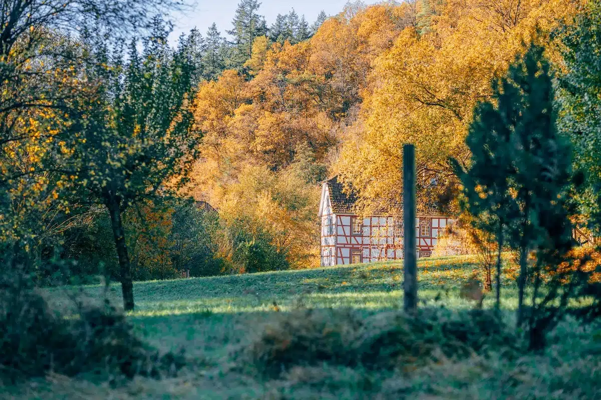 jardin automne