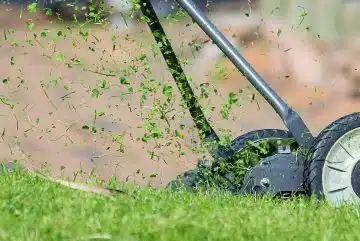 lawn mower, grass, cutting