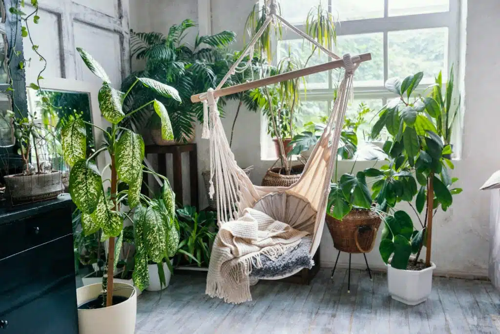 Les plantes d'intérieur faciles à entretenir pour un espace vert toute l'année