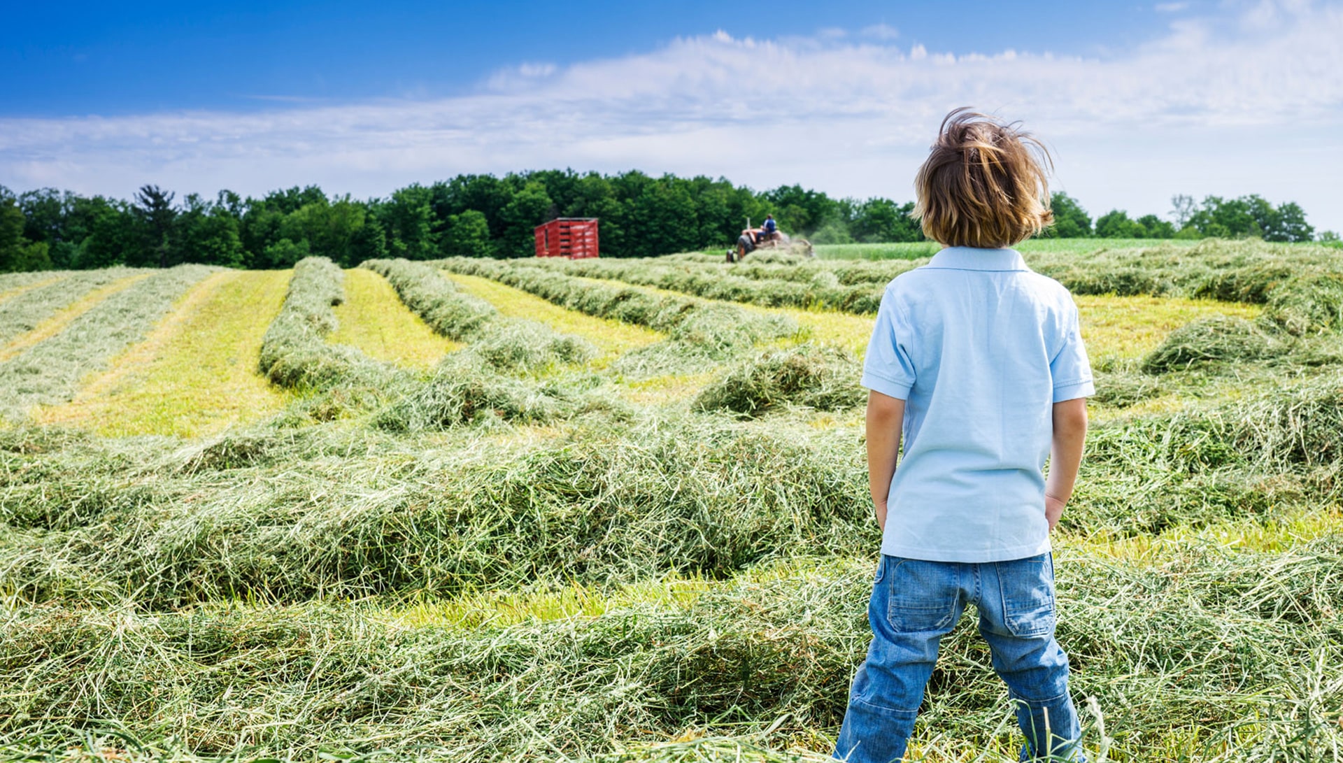Ce qu'il faut savoir sur l'agriculture française en 2018