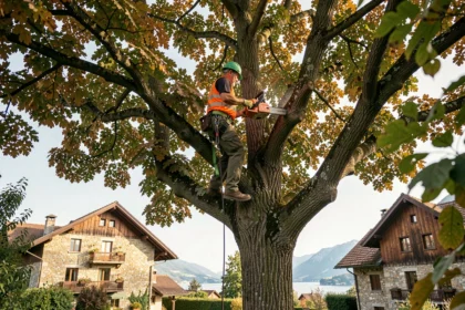 Élagueur professionnel en train d'élaguer un grand arbre dans un jardin résidentiel d'Annecy avec vue sur le lac