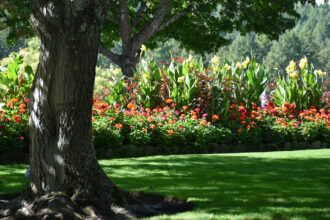 Jardinage à domicile : pourquoi de plus en plus de Français font appel à un professionnel ?
