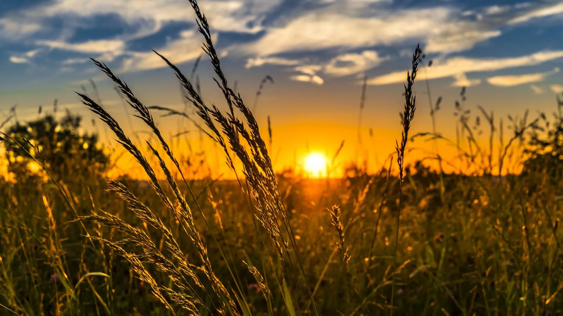 Pourquoi visiter un annuaire des écoles d’agriculture ?