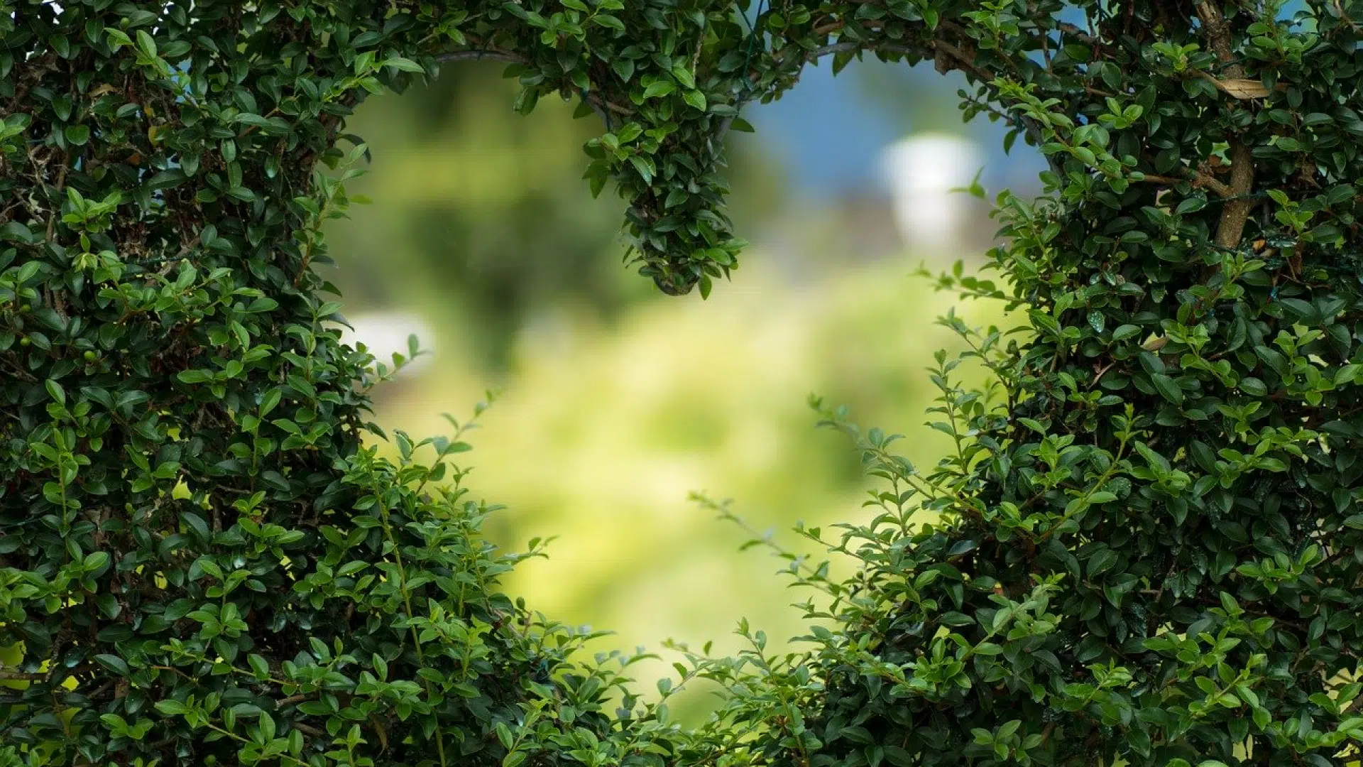 Trois idées de décoration pour votre jardin